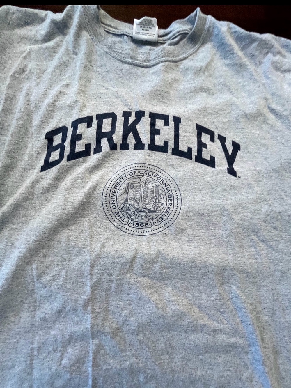 Berkeley College Gray Graphic Crewneck T-Shirt